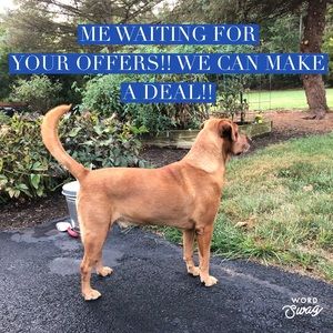 If you like it!, make an Offer!